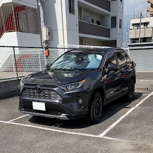 RAV4