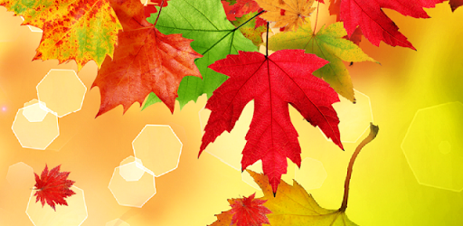 Autumn Live Wallpaper