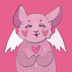 Love Batcat