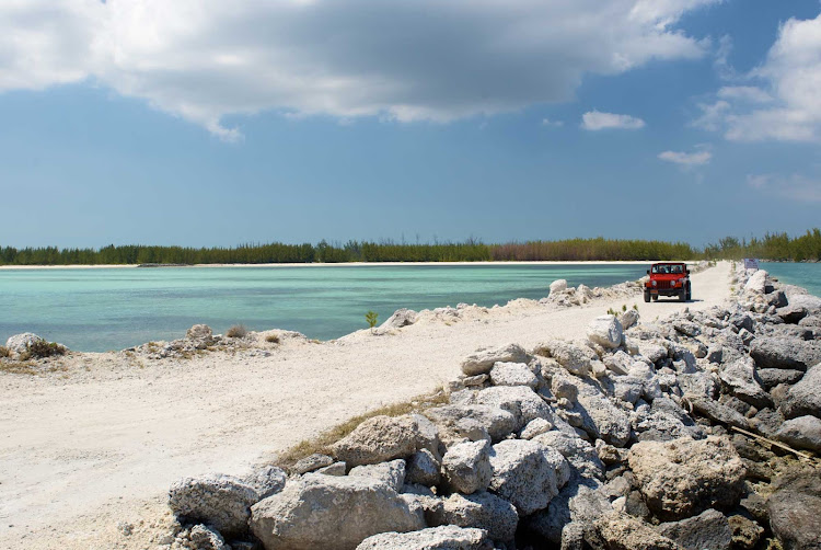 Wrangle down the beach while on a Bahama Jeep Safari from Grand Bahama Nature Tours.