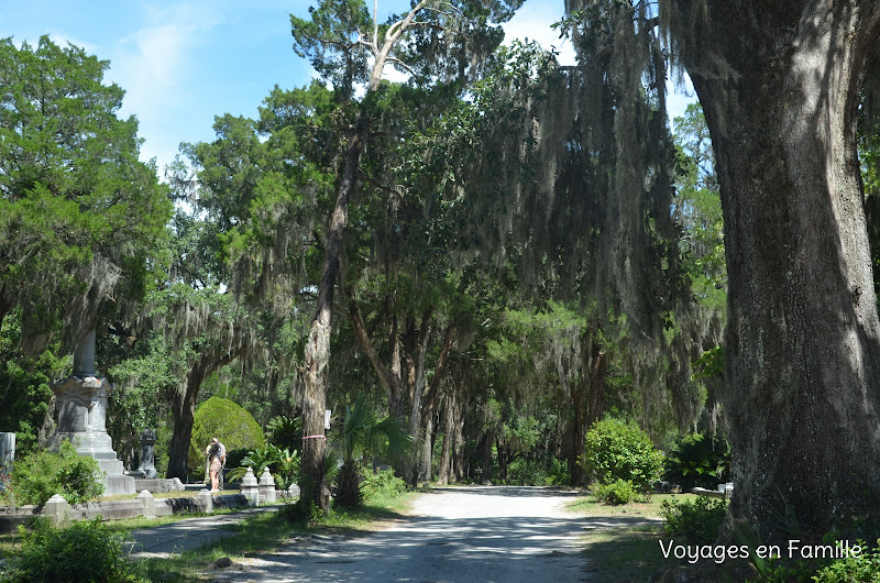 bonaventure cemetery savannah