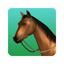 Horse Riding Games