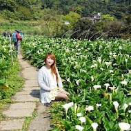 【竹子湖】苗榜花園餐廳