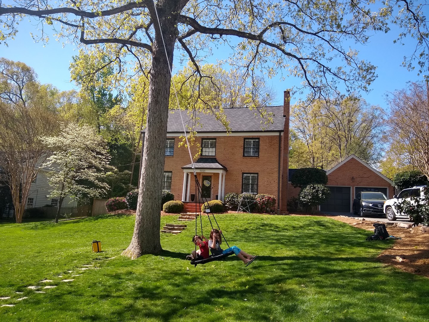 Tree Swing Installation - Piedmont Tree Climbing (PTC)