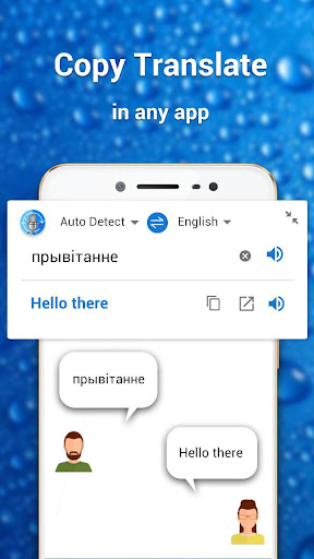 Language translator and dictionary