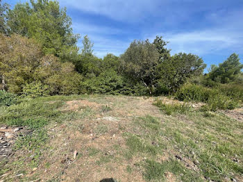 terrain à batir à Calvi (2B)