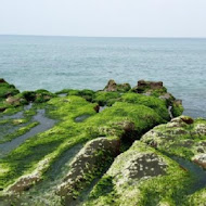 綠石槽漁夫海鮮餐廳