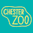 Chester Zoo icon