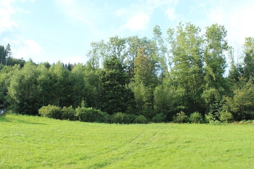 Vente terrain  2740 m² à Cleurie (88120), 119 000 €