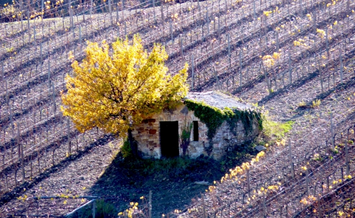 La casetta degli gnomi di aldo