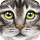 Cats HD new free tab theme