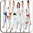 应用程序下载 Learn Karate 安装 最新 APK 下载程序