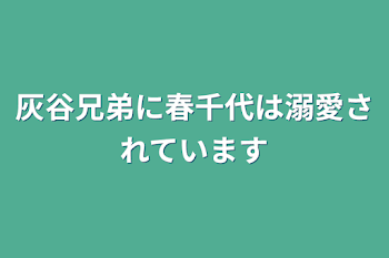 灰谷兄弟に春千代は溺愛されています