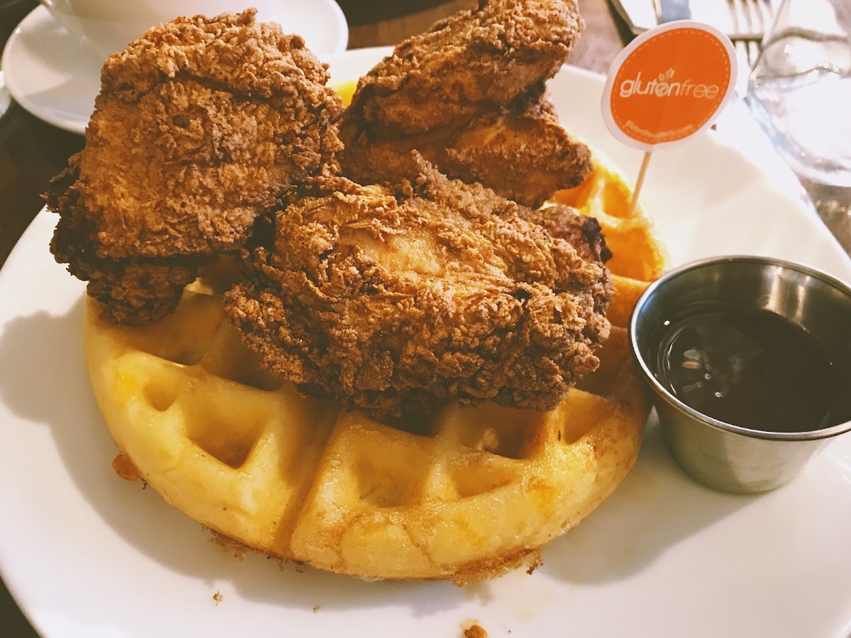 Gluten-Free Fried Chicken at Friedman's Hell's Kitchen