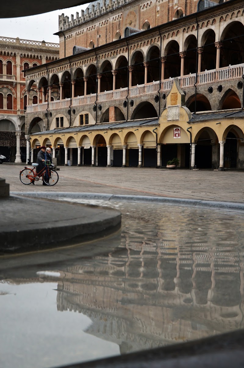 riflessi in piazza delle erbe di tatiana morello