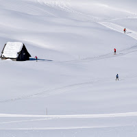  sci di fondo in un paesaggio naif di 