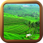 Tema Pematang Sawah Pedesaan Animasi  Icon