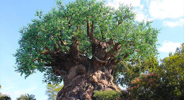 Disney's Animal Kingdom Tree of Life