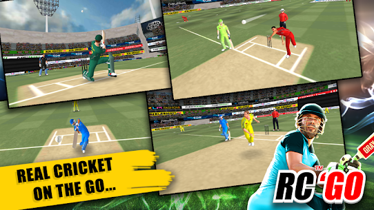 Real Cricket™ GO 3