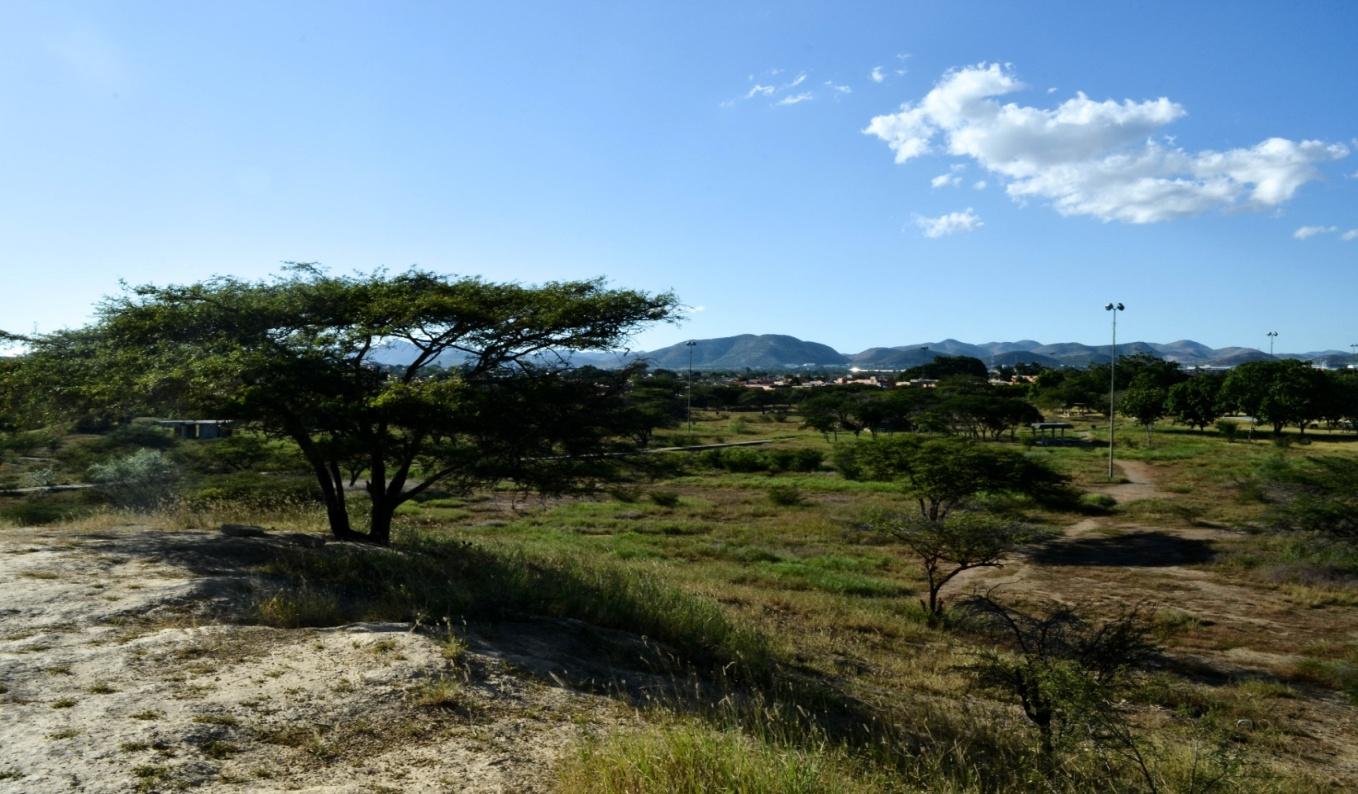 F:entre arboles propios de ambientes xerofiticos, el parque francisco tamallo presenta gran potencial para observacion de la avifauna local.jpg