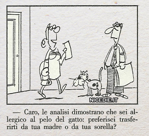 una donna dice al marito: caro le analisi dicono che hai una allergia ai peli di gatto: preferisci trasferirti da tua madre o da tua sorella?