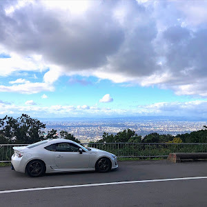 86 ZN6