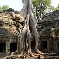 Angkor di 