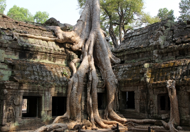 Angkor di vlao