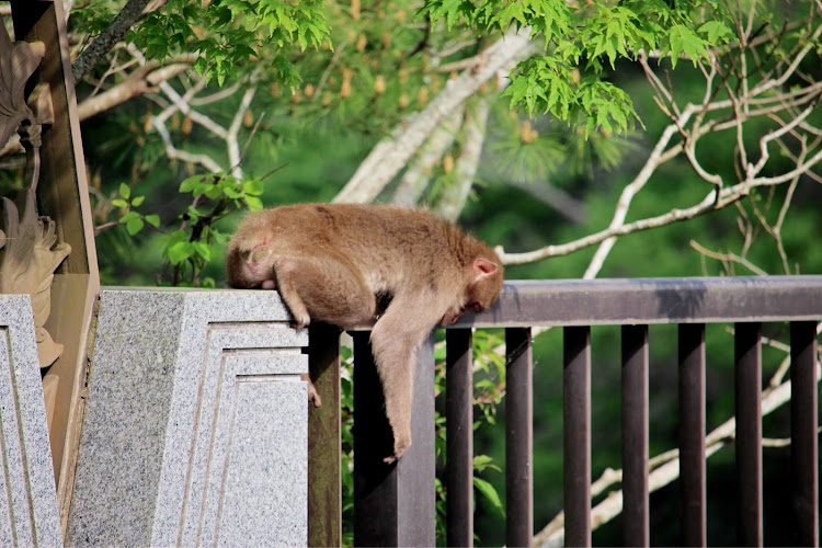 の投稿画像13枚目