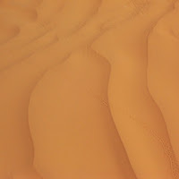 Tracce nel deserto del sahara di 