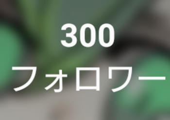 フォロワー様300人ありがとうございます!!!