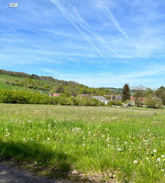 terrain à Souligny (10)