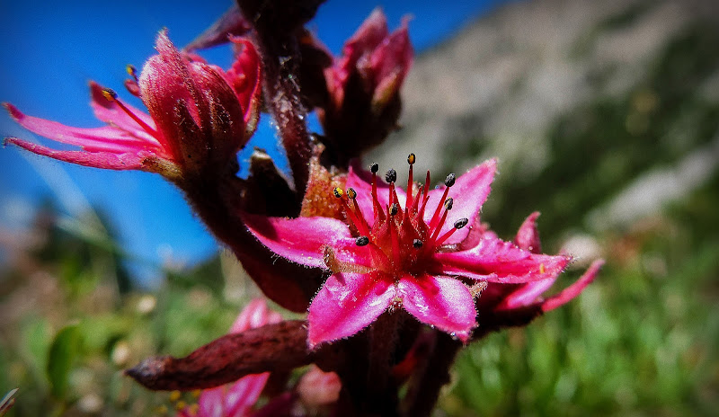 Colori di montagna.. di loveombra