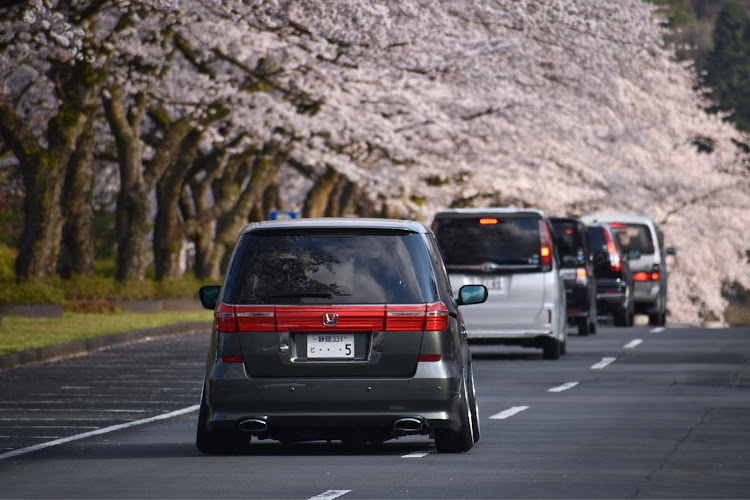 エリシオンプレステージの桜と愛車・桜・エリシオンプレステージ・エリシオンに関するカスタム事例の投稿画像1枚目