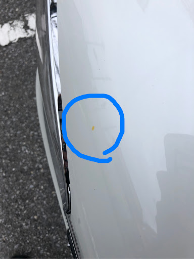アルトワークス Ha36sのシミ落とし 洗車に関するカスタム メンテナンスの投稿画像 車のカスタム情報はcartune