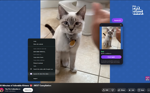 Expose AI screenshot 4