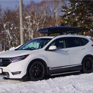 CR-V RW2