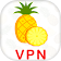 Pineapple VPN  icon