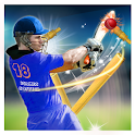 Icon Cricket T20 Boom