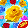 Blossom Mania Star icon