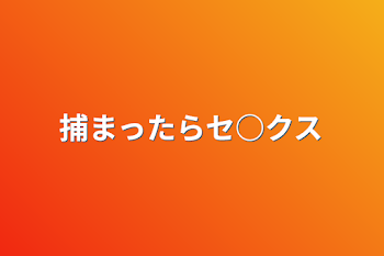 捕まったらセ○クス