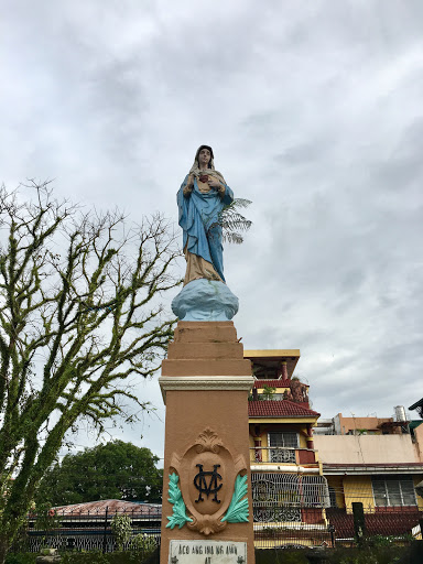 Sacred Heart of Mary