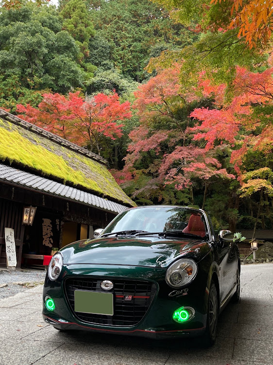 コペンの京都・紅葉・嵯峨野・嵐山・保津峡に関するカスタム事例の投稿画像1枚目