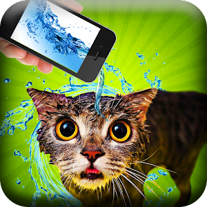 Water for cat prank for PC and MAC