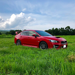 WRX STI VAB