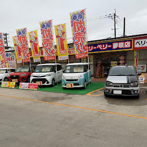 アルトワークス HA36S