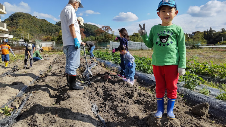 の投稿画像4枚目