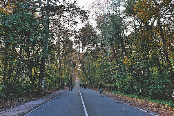 La strada incontra il parco di Topolibero