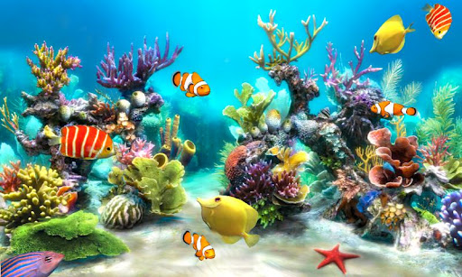 Screenshot Sim Aquarium