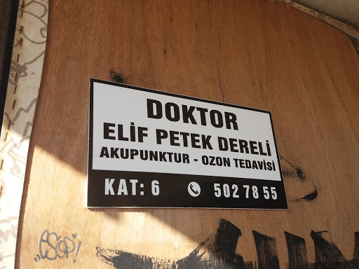 Dr. Elif Petek Dereli